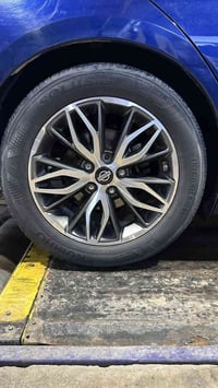 جنوط ١٧ • نيسان التيما • بصرة