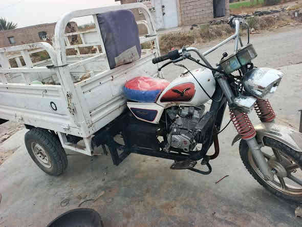 صقر للبيع 
موديل 21
السعر950
‏‪***********‬‏
