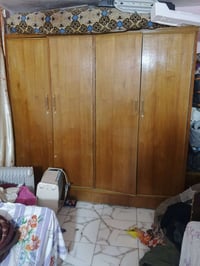 كنتور • جرابي • للبيع
