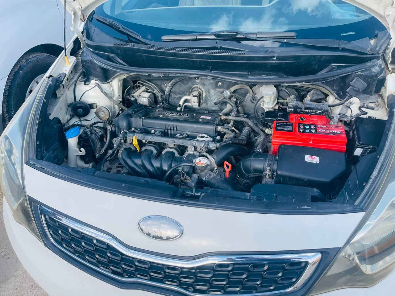 السلام عليكم كيه ريو 2014 خليجي سياره مكفوله كفاله عامه من الضربه والصبغ  بأسمي تحويل ثاني يوم   كير مكينه بلكارتون حداديه  جديده  كهربائيات كلها شغاله تبريد تدفئه شغاله السياره ما ناقصها برغي *********** متواجد واتساب  مكاني الزبير Singapore
