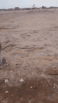 قطعه ارض للبيع!!!! 

المساحه 1000 متر 
على 3 شوارع 
الرئيسي 10 متر تبليط؟؟ 
الفرعيات ثنين على 8 متر؟ 

خدمات ب كامل بنص سكن 
ماء وكهرباء قريب على مدرسه جامع حي الزيتون 

الموقع /  حي زيتون الغربي 

تفاصيل القطعه اكثر اتصل برقم ////

يرهم بيع او مراوس بسياره 

*********** / وتساب متوفر
