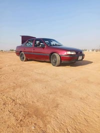 فيكترا • ١٩٩١ • صبغ جمالي