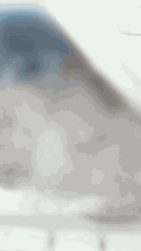 اليلام عليكم مولد كيا البيع راس توليد 30 كيفي السعر مليونين وربع بيهه ...