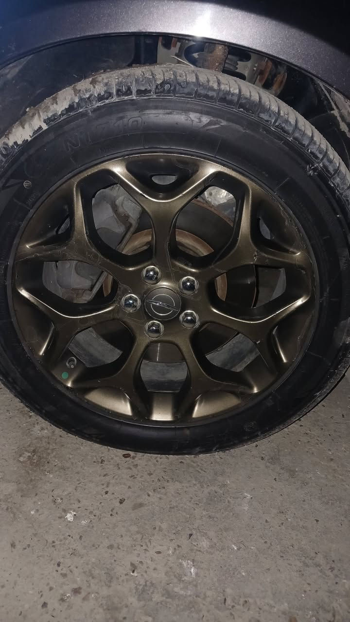 سلام عليكم اخوان عدي هاذه الويل عنكبوتي حجم 19 اريد اراوسه بكروم او بوليسي او مكسيكي حجم18 اي ستفسار  *********** مكان بغداد
