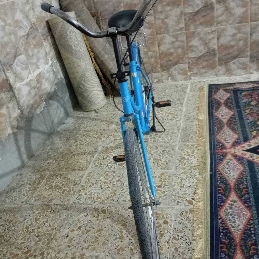 السلام عليكم باسكل ياباني اصلي قيم واخذ اصلي مو تجاري كربلاء, العراق


**إذا كنت صاحب هذا الإعلان وتريد حذفه لأي سبب، رجاءا أرسل رسالة إلى الدعم الفني**