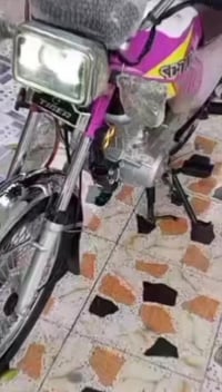 دراجة • موديل 24 • أوراق كاملة