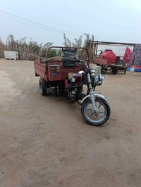 ستوته • اوراق اصولي • موديل ١٧