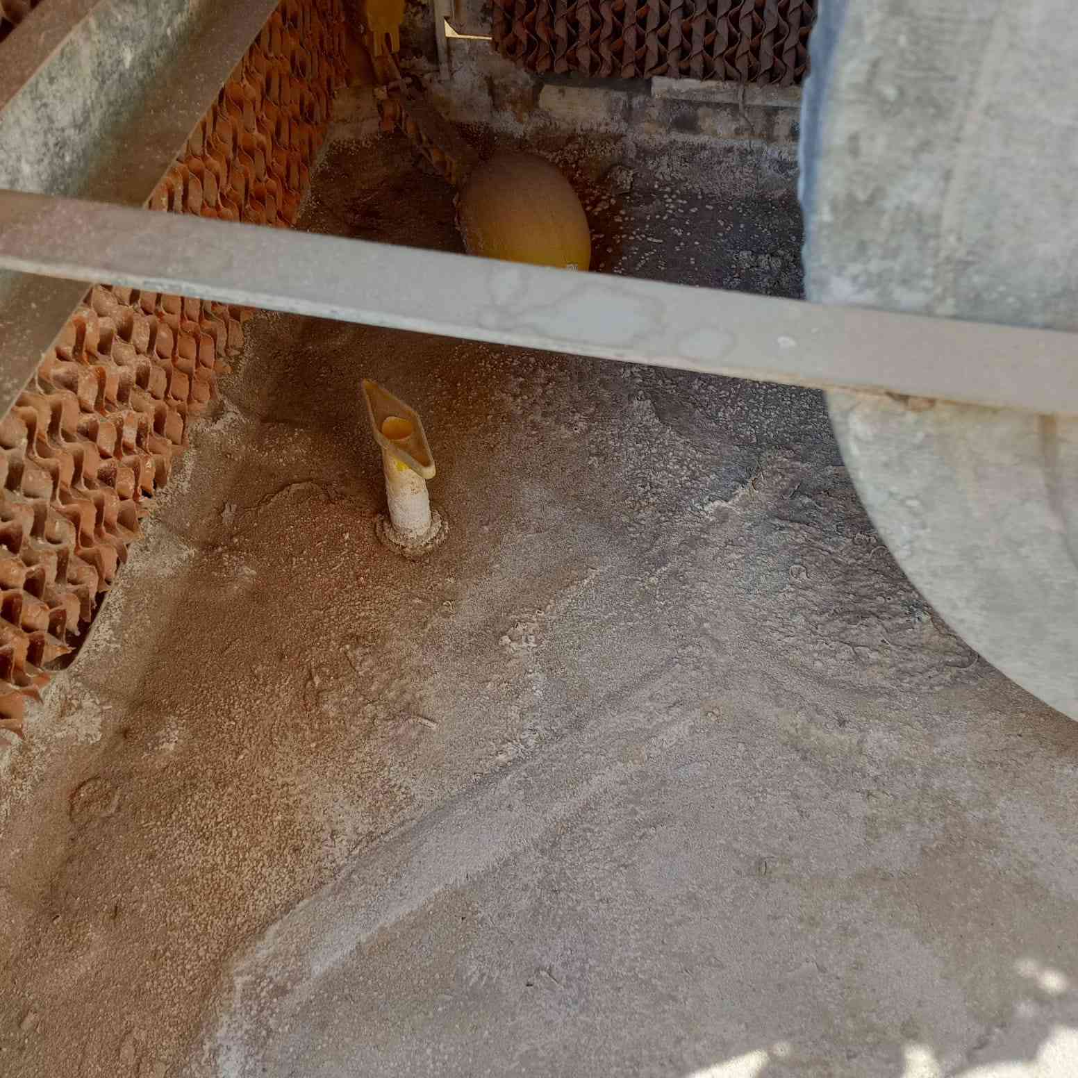 مبردة حجم وسط نضيفه استخدام موسم واحد هواها ثلج


**إذا كنت صاحب هذا الإعلان وتريد حذفه لأي سبب، رجاءا أرسل رسالة إلى الدعم الفني**