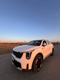 ٢٠٢٤ • ٢٥٠٠ • ٧راكب