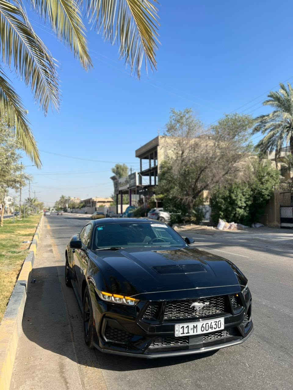 اسلام عليكم 
موستنك GT 24
سيارة جديدة ماشية ١٠٠٠ محركها 8  
حادث موضح بل صور
سيارة جديدة كلش مواصفات الموستنك معروفة هنبريك بصمة 
تشغيل عن بعد شاشات جبيرة  
للاتصال ***********
