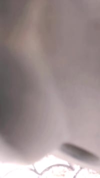 يولد دراجة فراشة مكفولة ونضيفة قبل شهرين نازلة من الحاوية ب 650وبيهة م...