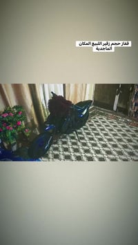 قفاز • دراجة • الماجدية