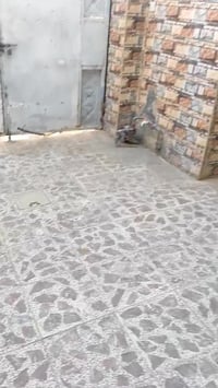 بيت ١٠٠متر لايجار الغرير شارع الضغط للستفسار ٠٧٧٠٨٨٧٢٩٦٠