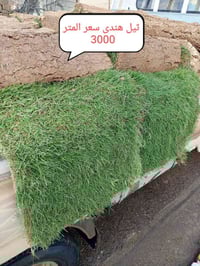 الثيل الهندي • درجة أولى • تجهيز حدائق