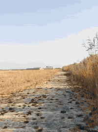 دونم للبيع
ابو غريب الحمدانية 
متوفر كافة الخدمات 
***********
