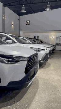 هايلاندر هايبرد • زيرو • رقم بغداد