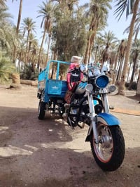 ستوته ٢٠٢٣ • اوراق • دوانيه المهناويه