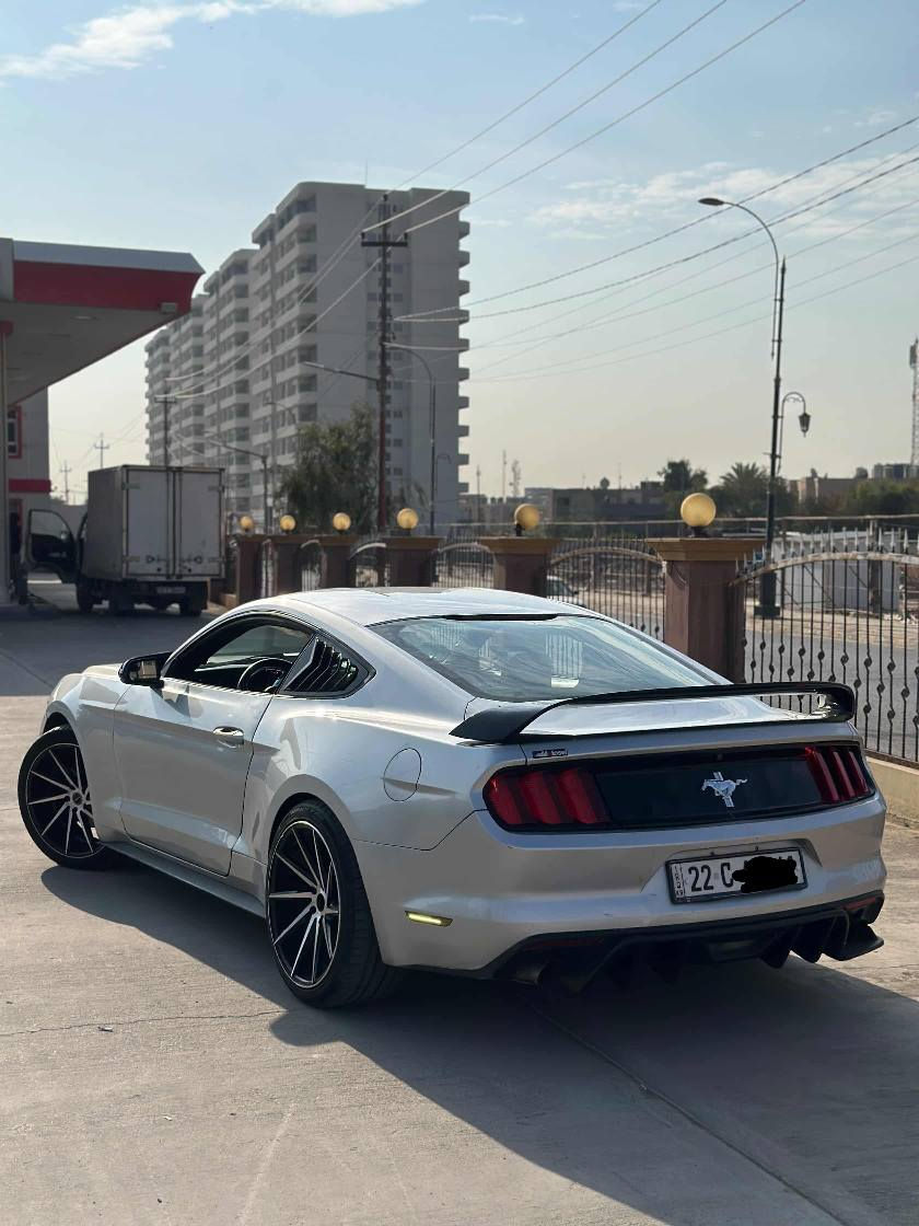 السلام عليكم
موستنگ 2015 V6 

لون سلفر 

رقم شمالي أربيل الجديد 

سنوية وهزة جدد لل2030

حادث كلش خفيف بجم كبس جامرلغ الخلفي وباب صبغ 

عدة القطعتين الباقي كفالة 

دواخل كلها بشرط

سونار كامل موجود 

مكينة گير اكسل بالشرط 

الاضافات 

شباك RTR 

لحية 

ويالة ڤوسن حجم 20 

سكوبات مراية وجام 

شاشة جبيرة 

جناح 

دفيوزر 

السيارة نظيفة بشكل وجاهزة بدون مصرف غرفتها وضع شركة 

مكانها كركوك 

السعر 138

*********** بي واتس كركوك, العراق
