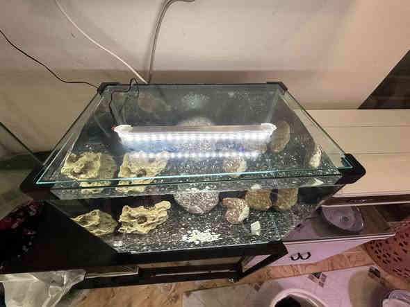 بە كاملی نرخی بۆتە  ٤٩ هەزار .. داشكانی بۆ كراوە
حەوزی شەریكەی پێش قەوس دیزاینێكی ڕەشی تایبەتی بۆ كراوە
لیدێكی سپی لەگەڵە
سەقفی شوشەی شەریكەی خۆی لەگەڵە
جیھازی ئۆكسجینی لەگەلە و فلتەرێكی  ئیسفنجی لێ بەستراوە تاوەكو ئاوەكە بپاڵێوێت
 بنی حەوزەكە بە بەردی وردی ڕەش ڕازاوەتەوە
چەند بەردێكی  گەورەی جوانی لەگەڵە وەك دیزاین
پشتی باگراوندی ڕەشی لێدراوە
قیاسی درێژی ٥٥ سم بەرزی ٤٠ سم پانی ٣٧ سم
_______________________
ئەوەی ویستی نامە بنێرێت لە واتس ئەپ یا ڤایبەر 
***********
گەیاندنمان تەنھا بۆ ناو سلێمانی ھەیە
