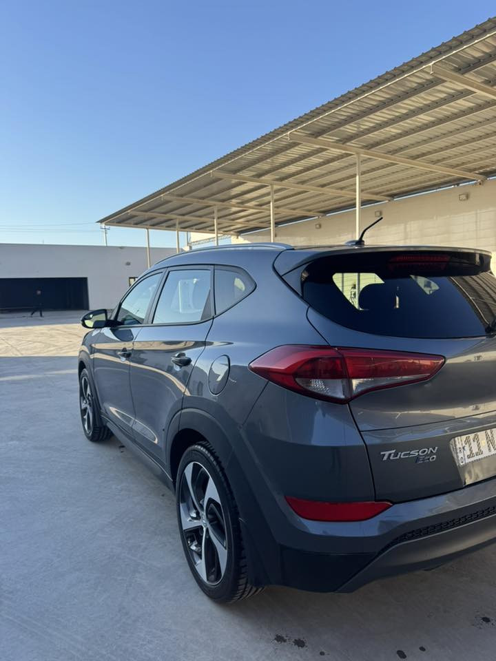 توسان 2016 شكل 18 قطعة وحدة صبغ فقط البنيد باقي السيارة مكفول ومثل متشوفون نطخت عندي بالبنيد ويحتاج البنيد صبغ فانزل سعر ورقتين مال صبغ عارضها 126 وبيها مجال بسيط رقم بغداد تحويل ثاني يوم ماشية 100
مكينة 1600 تيربو
***********
