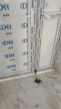 يالله 
مستعدون لعمل الابواب والشبابيك الpvc التركي 
وايضا عمل المحجر الالمنيوم والزجاج 
الاستفسار اكثر اتصال ***********

تحياتي للجميع 
@إشارة حيدر المعموري
