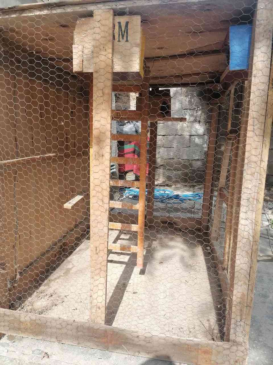 قفص شغل ايد فول ترتيب وثبات للبيع صويره حي الزهراء للتواصل ***********
