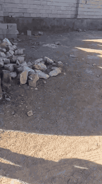 السلام عليكم ورحمه موجود قطعه ارض مساحه 300متر مبني سياج وغرفتين ومطبخ وصحيه بدون سكف العنوان حصيبه الشرقيه المضيق قرب البحمدالله وقريبه الجامع الجديد معلومات اكثر اتصل ع رقم ***********
