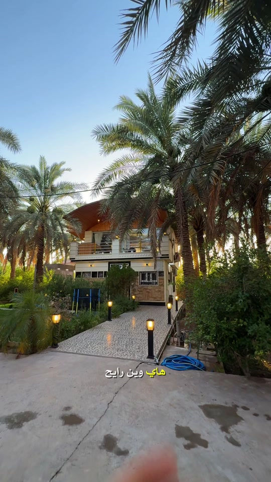 ⁨	 مستحيل تشوفون كثافه نخيل بكد هاي المزرعة 😍 مزرعة في النخيل  *********** #حسن_البلداوي #مزارع_بلد #شاليهات_بلد #بلد #بساتين_بلد⁩⁩

