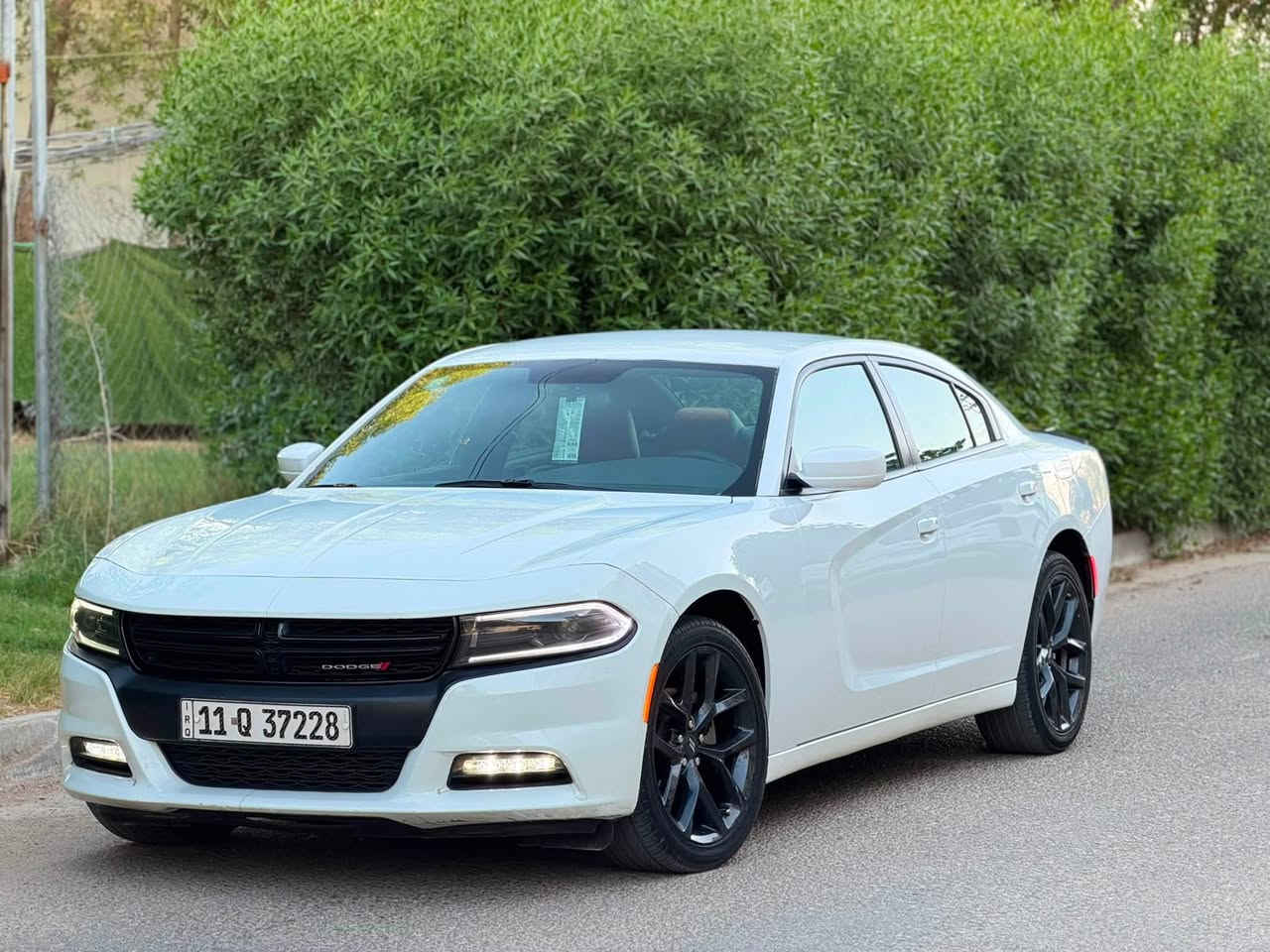 سلام عليكم البيع السعر 212هاتف ***********
جارجر مديل 2022وارد امريكي حادثه كرد جاملغ والباب بدون داخل بدون فتح شراط والباقي كفاله عامه ضربه وصبغ ومحرك وكير وحداديه وتبريد وتخم تاير خير من الله السياره كلش كلش جديده ماشيه 80الف حقيقي السياره ماشاءالله تخبل محرك 6اسلندر السيارة كل نقص مابيه داخل حضن كنتاره احمر شاشه كامره رقمه بغداد دولي تحويل مباشر السعر 212وبيه مجال هاتف ***********
