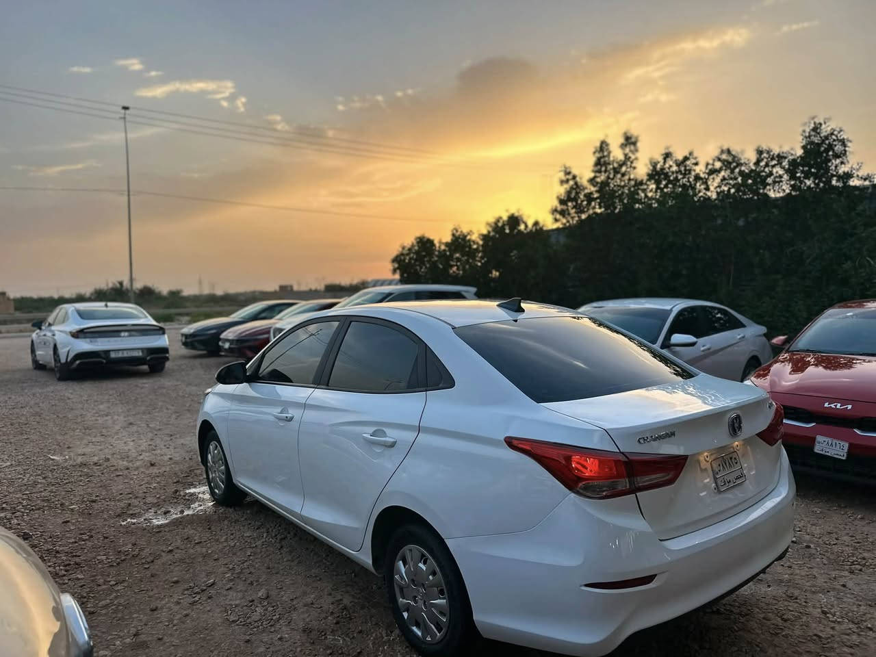 ياالله شانجان خليجي موديل 2024دخول جديد الضرر تبديل قبق جنطة السعرمرقم وجاهز ب٨٨ورقة البيع نقدا فقط السماوة الرميثة معرض احمد ال شمران
***********
