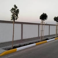 دونم للبيع • بساتين طيبة • ارض للبيع • قطعة ارض • ركن • واجهة 41 • الق...
