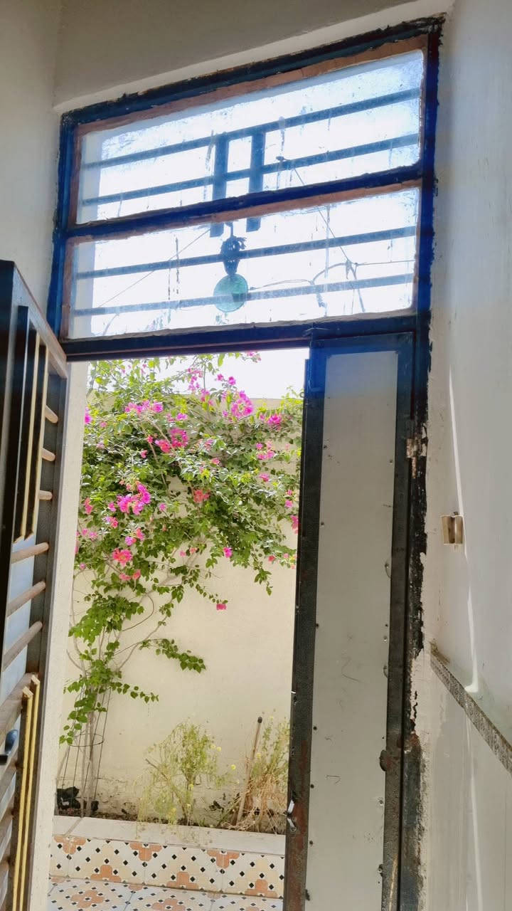 السلام عليكم بيت للبيع اليوبه قرب مدرسة الصقر شارع الشهيد ابو يتيم ٤غرف وهول واستقبال ومطبخ وحمامات ٢ وتواليت ٢ كراج وحديقه٢٠٠ متر بناء ٢٠٢٢ اساس طابوق مع رباطات كونكريت مسلح بناء اليت بلوك بناء شخصي 
السعر ٩٥ بي مجال لتواصل مع صاحب البيت ***********
