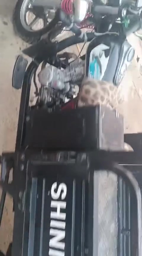 لام عليكم
 ستوته جمره فحل أوراق اصولي سنويه والرقم بعدني ماساحبه ستوته مكفوله تخم تاير كهربائيات شغاله كله نكره سلف 
ستوته استفسار خاص او الاتصال على رقم الهاتف ***********
