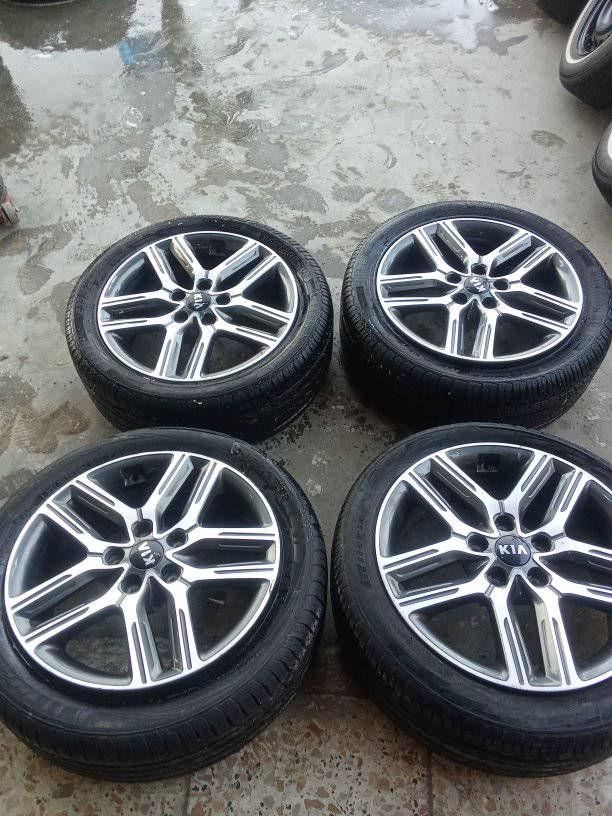 تخم ويل كب فورتي سيراتو أصلي شركة حجم مو 17مكفول من الفطر والحيم والتصليح العنوان بغداد الشعلة ***********
***********
