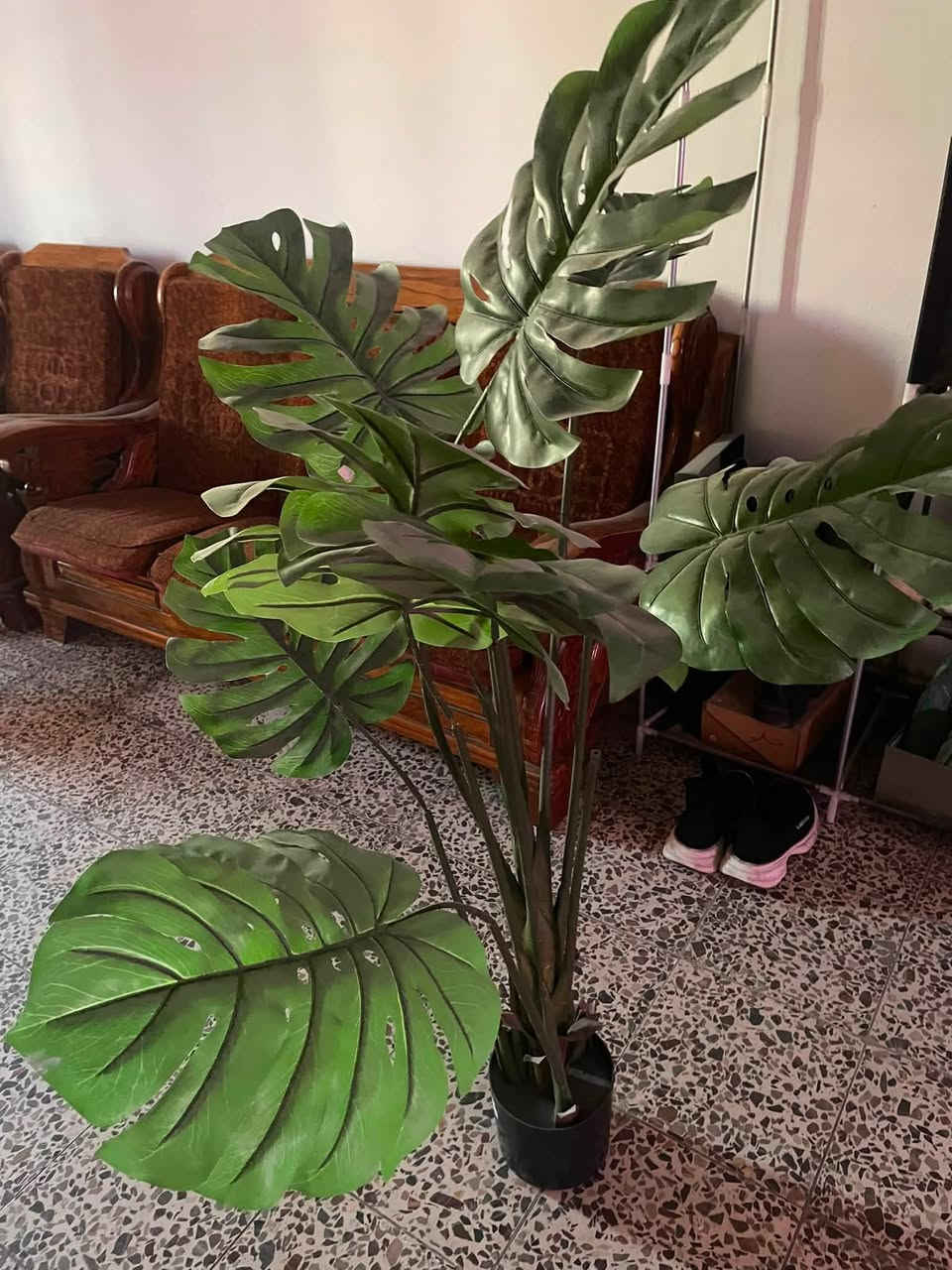 25وبيا مجال بسيط يوجد توصيل


**إذا كنت صاحب هذا الإعلان وتريد حذفه لأي سبب، رجاءا أرسل رسالة إلى الدعم الفني**