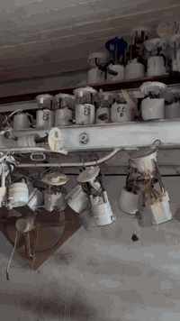 قواعد فيت بم • دبل فيت بم • شارع فلسطين