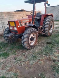 توماسان • ٩٥ حصان • ديالى كنعان