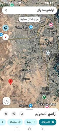 المشراق • ٢٧٥م • سند ملك