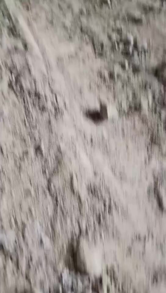 سلام عليكم شباب بايسكل يابنيه  حجم 26
نظافه 99% سعر 125 و بي مجال شيء قليل
*********** للاستفسار
مكانيه فلاكت حي نصر.
