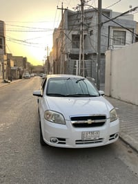 افيو ٢٠٠٩ • شرط الفحص • نجف