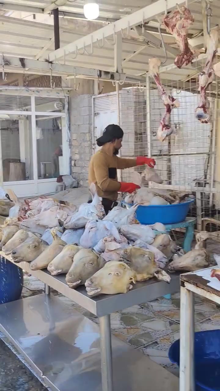 عمي سلام عليكم كل يوم ننشرلكم باجات و كراعين بس اليوم غير شي اليوم حتى عضام حولي فلس ونص عضام حولي الكيلو 3000 آلاف الباجه شرط عراقي وكدام العين باجتين بس 25 آلاف كراعين حولي اربعه 30 آلاف العنوان صلاح الدين تكريت شارع الباشا سوك القصاصين رقم الهاتف ***********  اتصل عل رقم وتحياتي الطيبين
