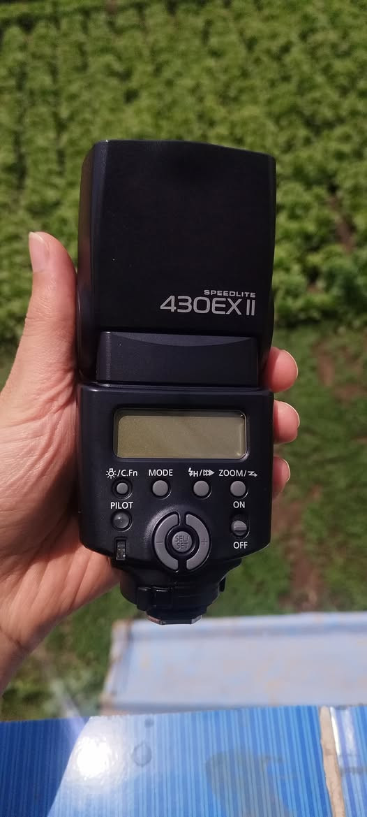 للبيع


**إذا كنت صاحب هذا الإعلان وتريد حذفه لأي سبب، رجاءا أرسل رسالة إلى الدعم الفني**