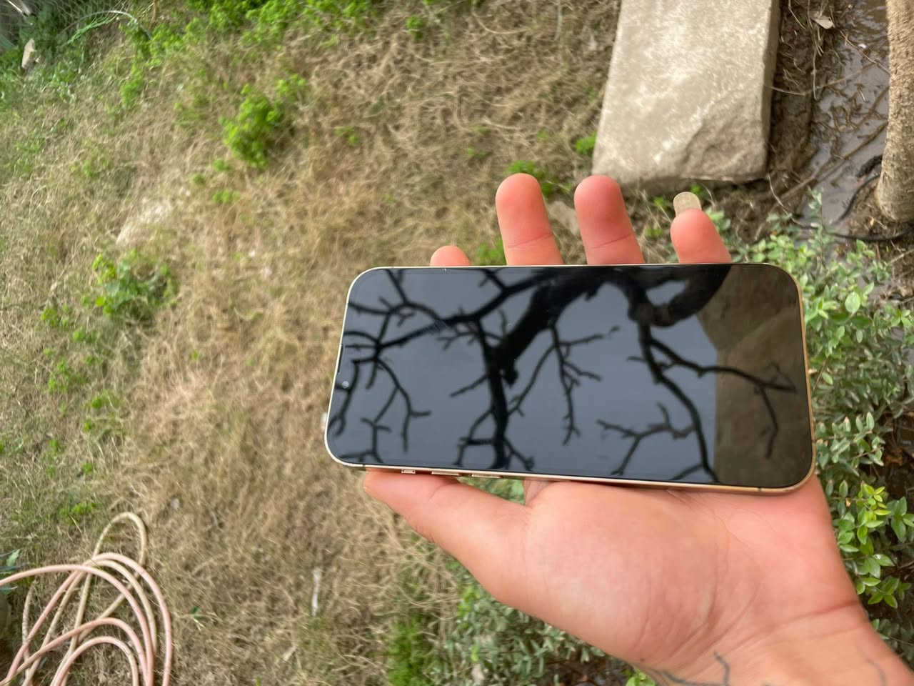 ايفون13برو ماكس لون مميز  شرق اوسط مبدل شاشة وبطاريةاصليات وفيس ايدي واكف ذاكرة256 بطارية100مكاني بغداد بلديات شراي تعال خاص


**إذا كنت صاحب هذا الإعلان وتريد حذفه لأي سبب، رجاءا أرسل رسالة إلى الدعم الفني**