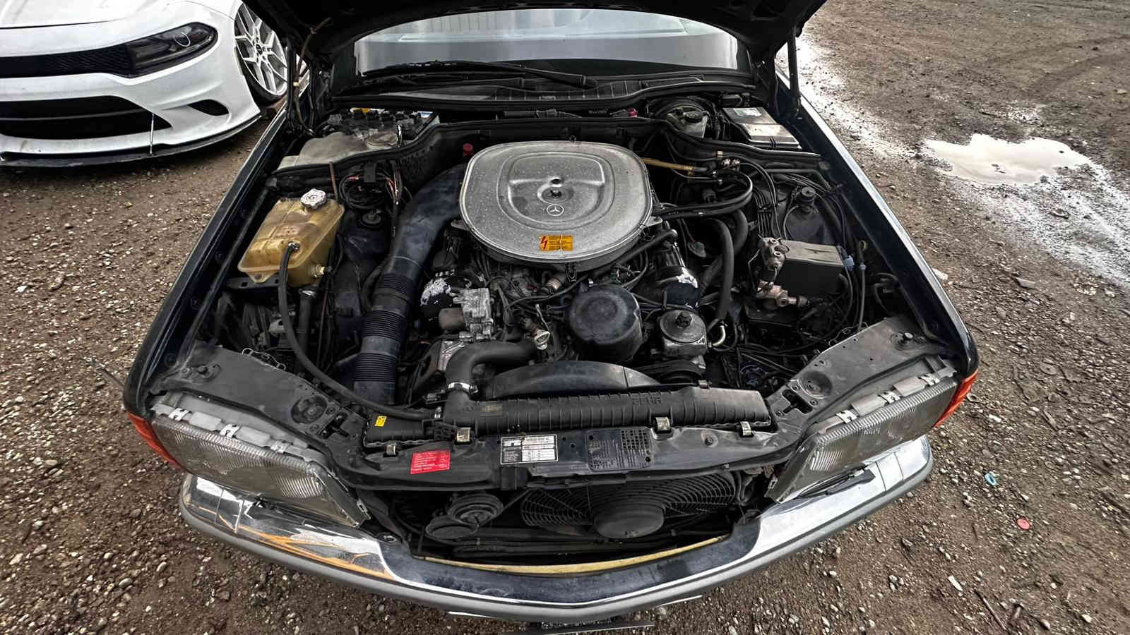 للبيع مرسيدس وارد ياباني فول مواصفات موديل 1986 
ماشي 14000 بلادي 
للسعر اتصل على الرقم 
***********
***********
