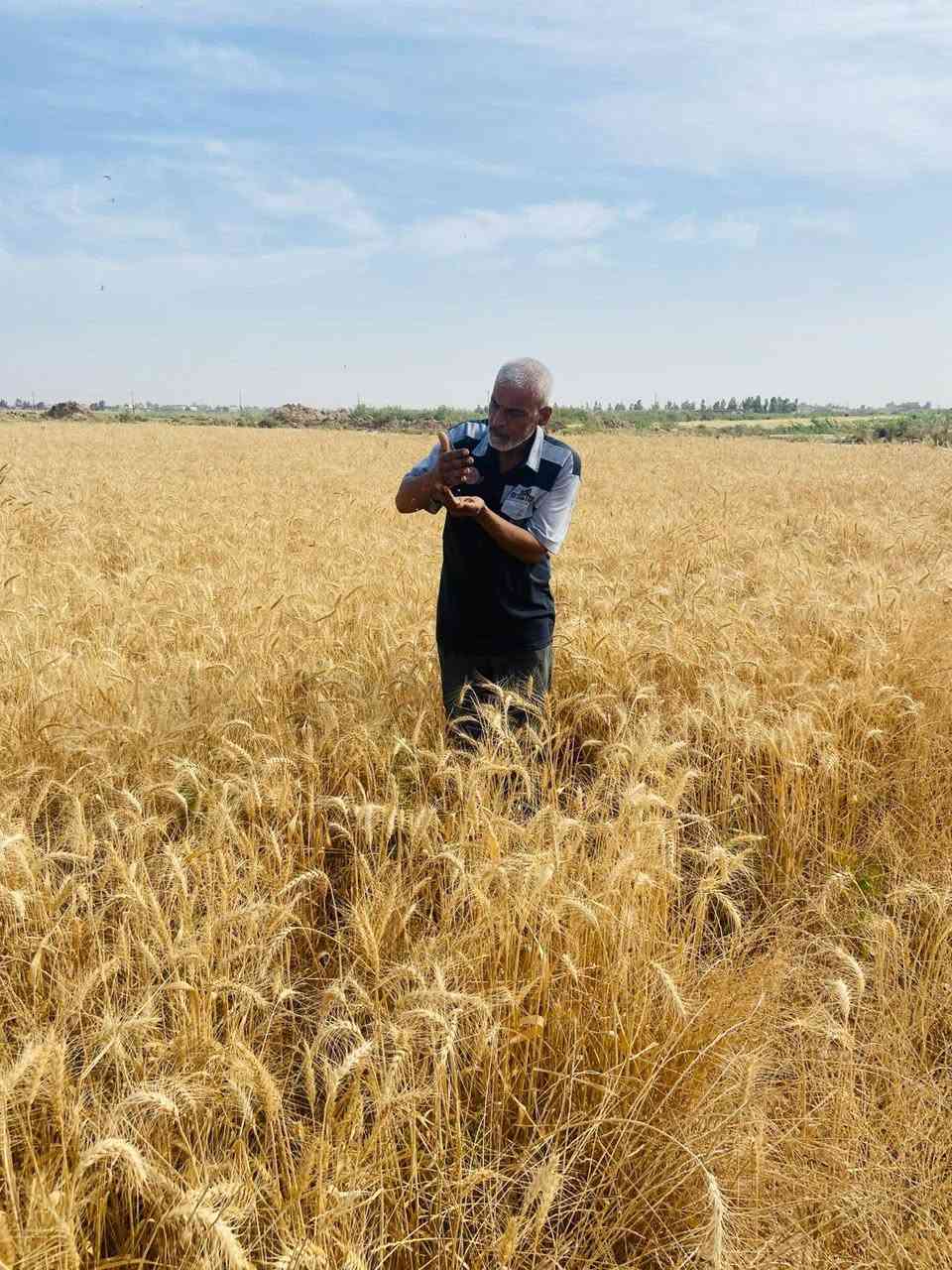 اكثر من ١٠ دوانم عقد ٣٥ بعد الجسر الفرنسي بالنزلة الي مقابيل سكلة ابو علي العگيلي تبعد عن الشارع العام كيلو والارض عالمشروع الاروائي مباشرة ..


**إذا كنت صاحب هذا الإعلان وتريد حذفه لأي سبب، رجاءا أرسل رسالة إلى الدعم الفني**