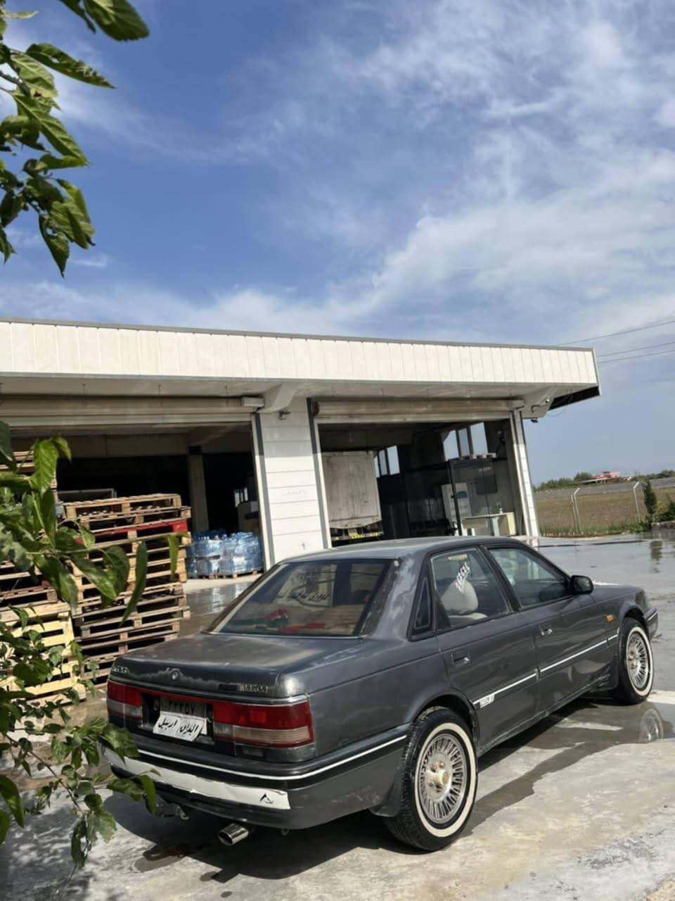 مازدا626  8وبەخ  جام کارەبا  ڕەقەم هەولێر  بئ بۆیاخ بێ دەحمولێدرام   غەرامەو بەناوکردن بەشەرت  توندوتۆڵی بەشەرت  گێڕومەکینەی بەشەرت  سەیارەکە ماڵی دۆستەو جاهیزە ناونیشان حاجیاوا ***********   سەحری 32معامەلا رانية, السليمانية
