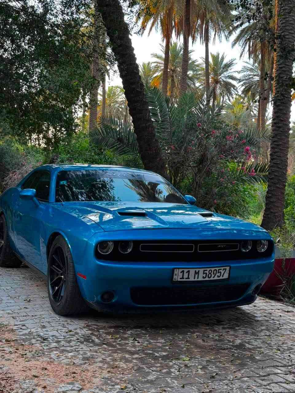 @السلام عليكم / للبيع فقط 
دوج جالنجر موديل 2015 /SXT PLUS 
فول مواصفات داخل جلد اسود 
فتحة سقف
لون مميز بحري 
تدفئة وتبريد مقاعد 
شاشة كبيرة 
تبريد ثلج 
رادرات جانبية وخلفية 
بصمة 
تشغيل عن بعد 
السيارة عليها ادامة جديدة وبوليش جديد 
السيارة بدون اي مصرف 
ماشية 103,000 كيلو 
صورة الحادث مرفقة ويا 
حادثها جامغ وباب الراكب وجاملغ السايق 
( ثلاث قطع ) 
للاستفسار اكثر الاتصال على هذا الرقم 
متواجد واتساب / ***********
وسعر فوال
