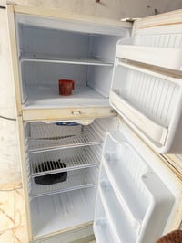 كونكورد لبناني • حجم وسط • الشطره