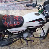 بوكسر 2022 • مرقّم إنكليزي • سنوية