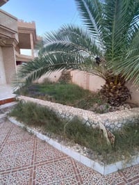 حي الاسمد • ٢٦٨م • طابو